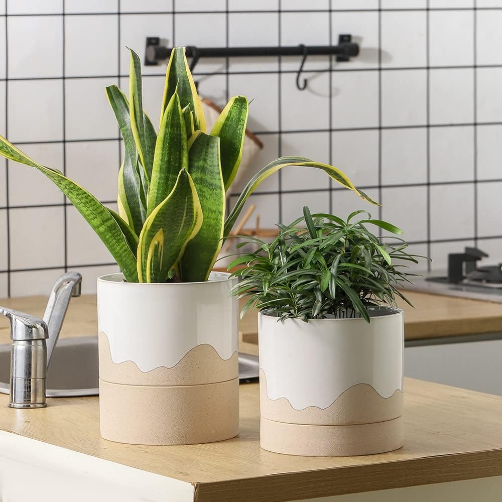 Nihow Ceramic Plant Pot: 6 Inch Planter with Drainage Hole & Saucer for Indoor & Outdoor Plants - Cylinder Round Flower Pot for Succulent/Herbs/Violets - White & Nature