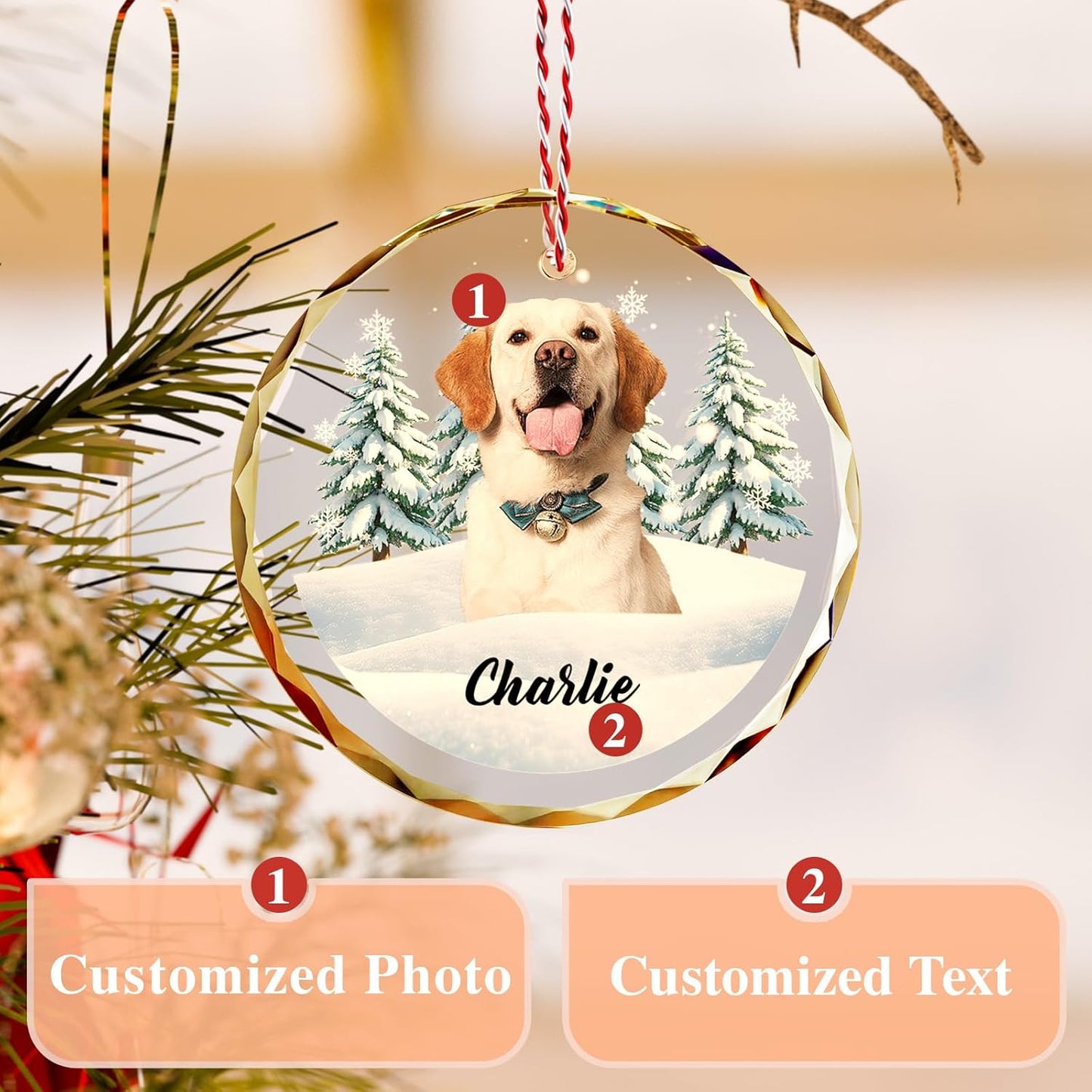 Custom Pet Christmas Ornament with Photo โ Personalized Crystal Dog Cat Memorial Gift โ Snow Scene Holiday Decor