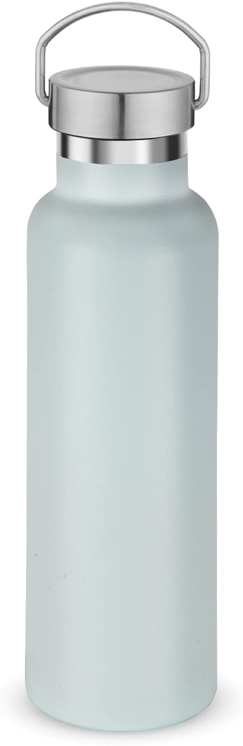 Neihepal Fog Stainless Steel Water Bottles,20 Ounce Vacuum Insulated Double Wall Travel Bottle with Leak Proof Lid of Handle,Metal Reusable Standard Mouth Flask Thermoses for School,Hikers,Gift