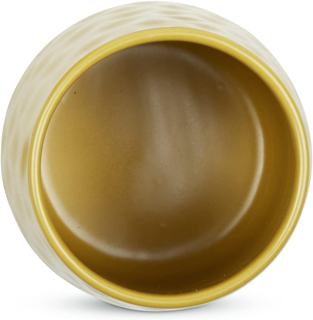 DII Kitchen Accessories Collection, Textured Matte Ceramic Canister Set, Lemongrass, Dimple, 2 Piece