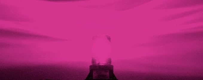 B125WS24 PINK 24V 28V AC DC 28W STEADY-ON LIGHT BEACON EMERGENCY SAFETY WARNING