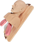 Adult Airway Management Trainer Kit, Intubation Manikin Head with Full-Featured Airway Simulation for EMS Training, Intubation & Ventilation