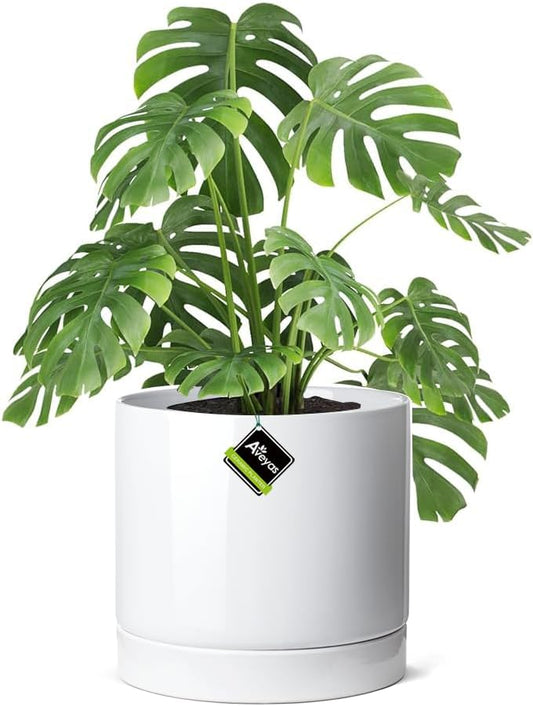 Aveyas 10 inch Ceramic Planter Pot with Drainage Hole and Saucer - Suitable for Indoor and Outdoor Use, Modern Planters for House Garden Flower Tree Snake Monstera Plants (10", Glossy White)