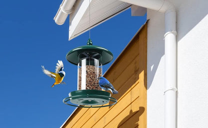 Bird Feeder for Outdoors - 360° Feeding Perch. Green