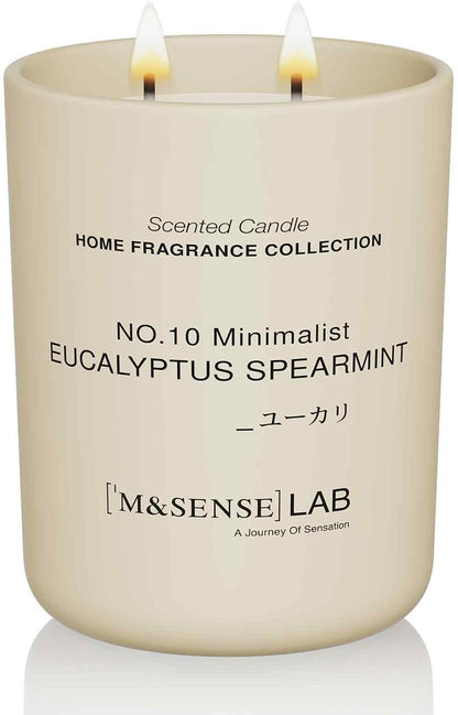 M&SENSE Natural Soy Candle| Eucalyptus Spearmint | 16.6 oz, 95H Burn | Minimalist Scented Candle for Relaxation, Gifting, Home Décor | for Bedroom, Office, Party Large