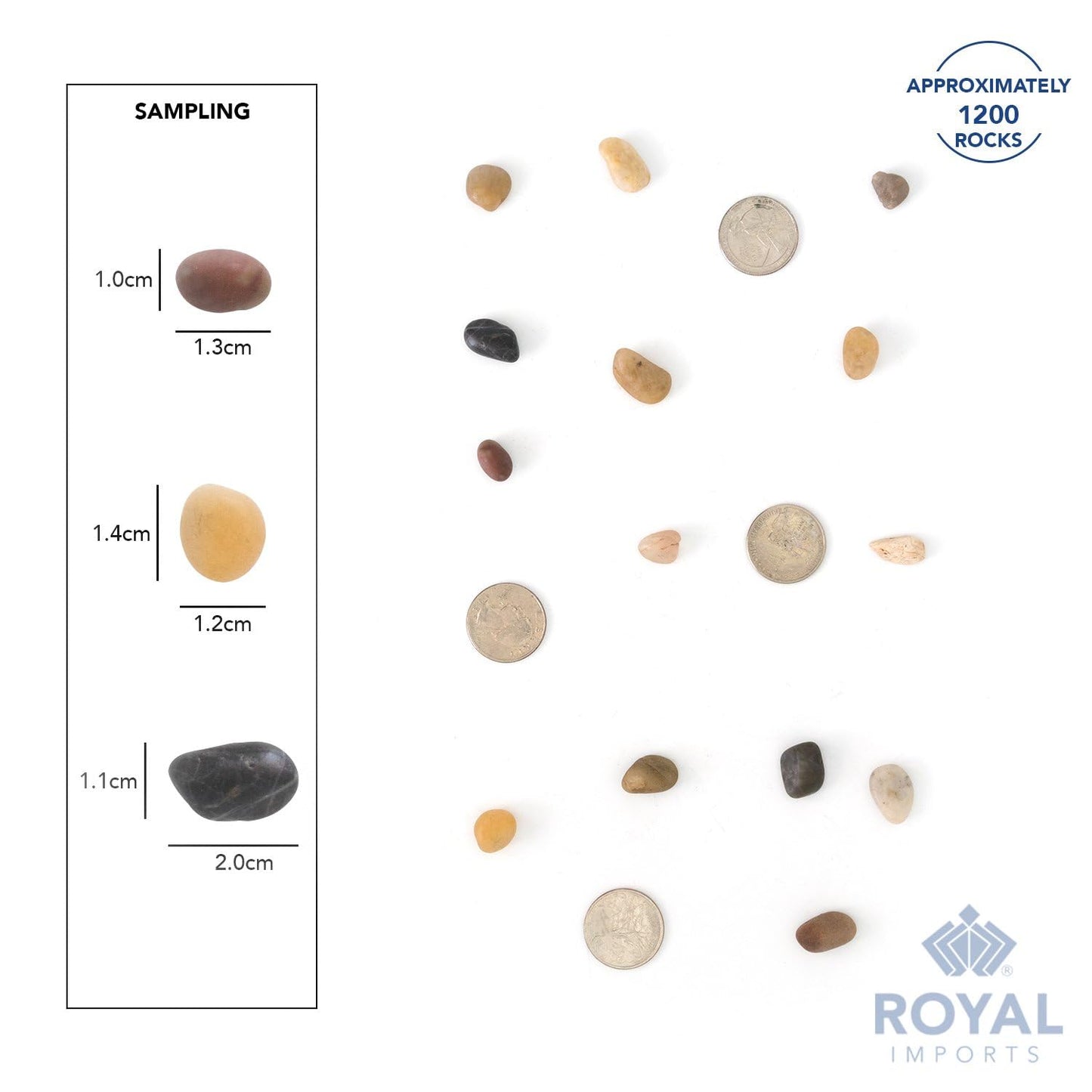 Royal Imports 30LBS River Rocks Decorative Ornamental Pebbles, Garden Landscaping Stones, Gravel Filler for Plants, Vases, Succulents, Home Decor, Aquariums, Crafting, Animal Habitat - Small Natural