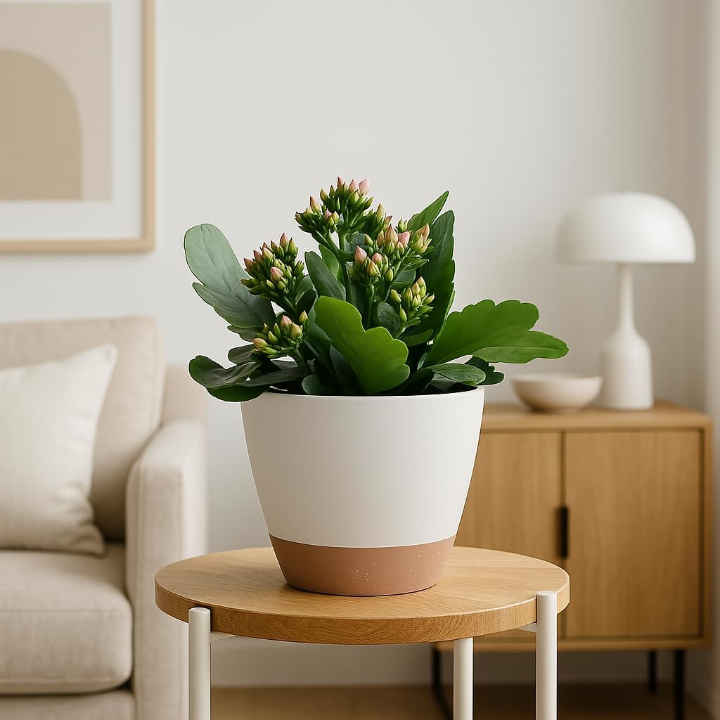 Giraffe Creation Plant Pots Set of 5 (10/9/8/7.5/7 inch), Self-Watering Indoor & Outdoor Flower Planters with Drainage Hole and Reservoir, White