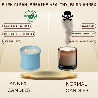 Scented Luxury Candles in Handmade Ceramic Jars, Soy Wax | Day On The Sea – Cypress & Cedar, Large Candle | Non Toxic, 2 Wicks, Reusable Big Blue Jar | Natural Spring Aromatherapy for Women & Men