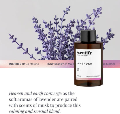 Scentify Lavender Musk Aroma Oil Refill Scent for Oil Diffusers - Bergamot, Vanilla, Cedarwood Scents - Luxurious Relaxing Aromatherapy Diffuser Fragrance 100ml, 3.38 oz