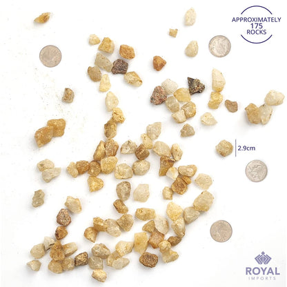 Royal Imports 5LBS River Pebbles Decorative Ornamental Rocks, Garden Landscaping Stones, Gravel Filler for Plants, Vases, Succulents, Home Decor, Aquariums, Crafting, Animal Habitat - Mini Natural