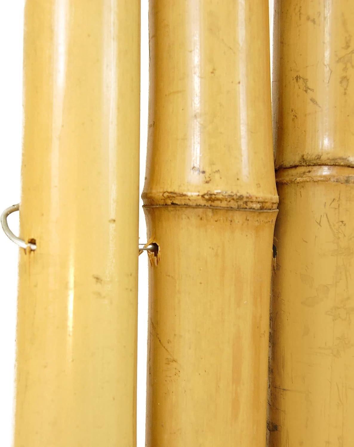 Backyard X-Scapes Natural Bamboo Fencing Decorative Rolled Fence Panel 0.75 in D x 4 ft H x 8 ft L