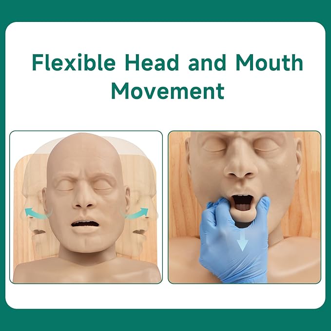 Adult Airway Management Trainer Kit, Intubation Manikin Head with Full-Featured Airway Simulation for EMS Training, Intubation & Ventilation