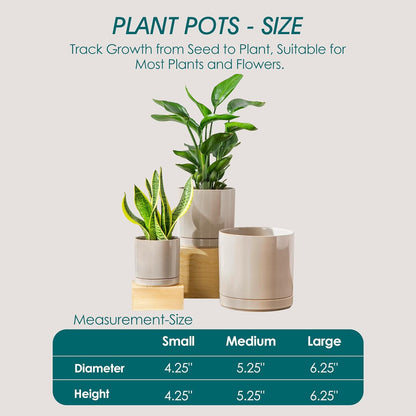 vancasso Ceramic Planters, Plant Pots for Indoor Plants, 6.25+8.25+10.25 Inch Ceramic Pots for Plants, Flower Pots with Drainage Holes (Gray, 6.25+8.25+10.25 Inch)