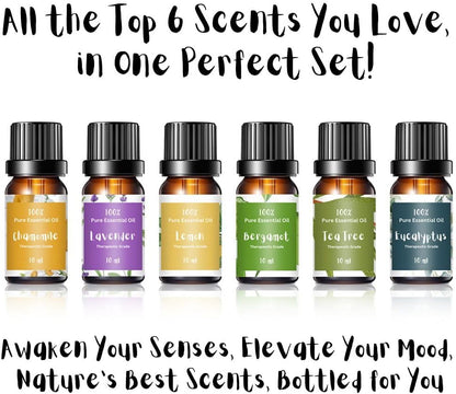 Essential Oils for Laundry | 100% Pure Therapeutic Grade Aromatherapy Essential Oil Set - Top 6 | Dryer Balls, Diffusers, Soaps, Candles | Lavender, Tea Tree, Eucalyptus, Bergamot, Lemon, Chamomile