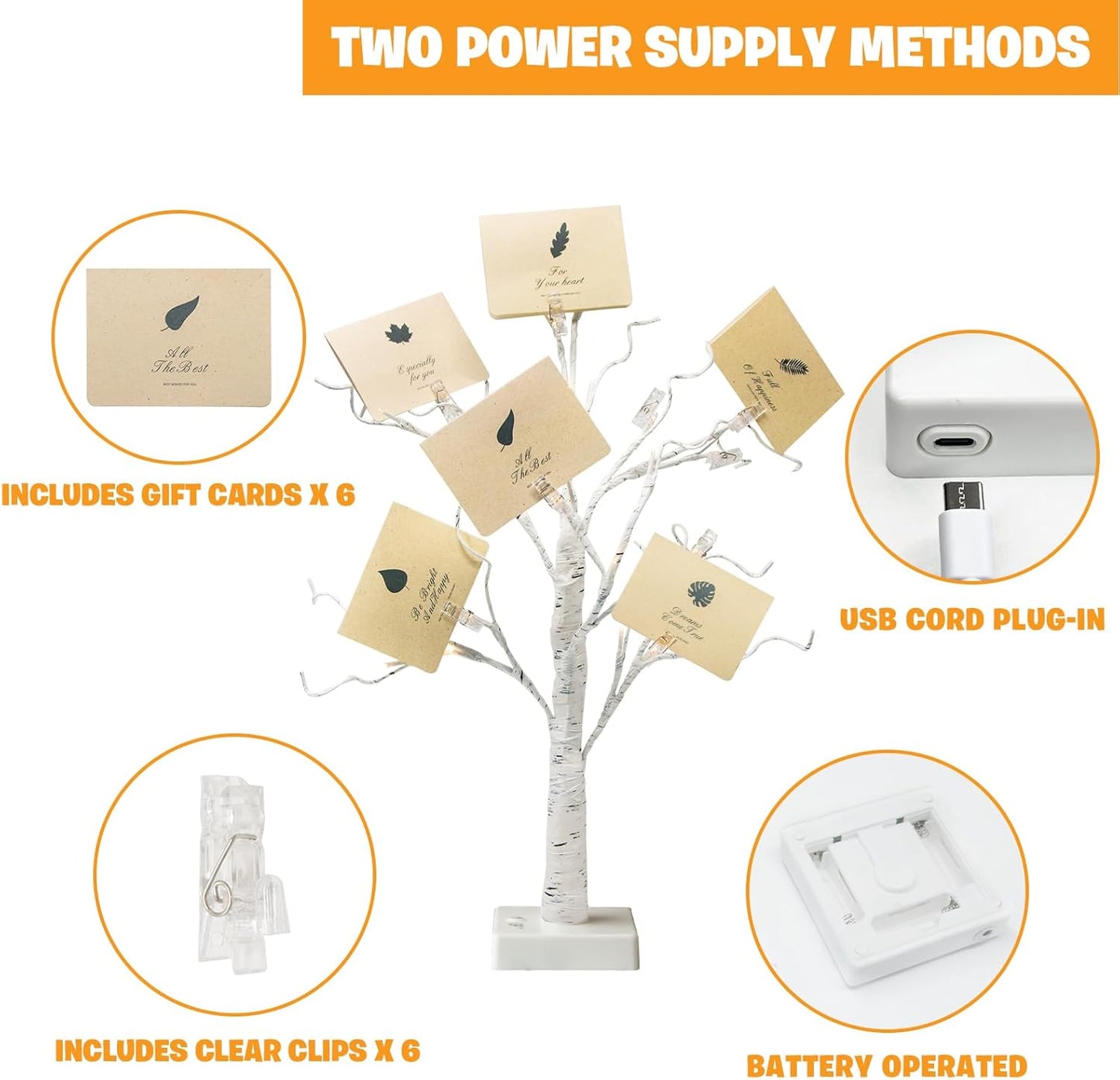 EAMBRITE Money Tree Gift Holder, Lighted Birch Tree 2FT 24LED, Battery/USB Powered Timer Light Up Display Twig Gift Card Tree with 6 Clear Clips and 6 Cards for Home Christmas Graduation Photo Memo