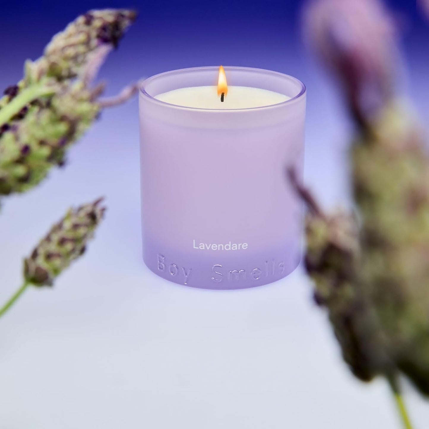 Boy Smells Lavender Candle - 8.5 oz - Luxury Candle with Lemon, Lavander, and Vetiver - Up to 50-Hour Burn - Cotton Wick