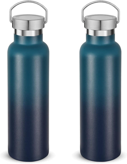 Neihepal 20 oz Insulated Water Bottles Bulk 2 Pack,Stainless Steel Double Wall Sport Bottle with Lid of Handle,Metal Reusable Thermoses Flask for School,Cyclists,Hikers,Gift (Dark Night,Set of 2)