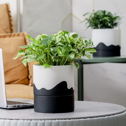 Nihow Self Watering Plant Pot: 6 Inch Ceramic Planter with Drainage Hole & Water Storage Plus for Indoor & Outdoor Plants - Cylinder Round Flower Pot for Succulent/Herbs/Violets - White & Wave Black