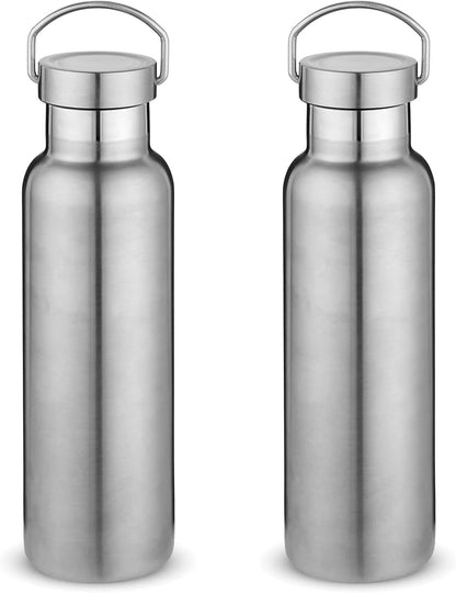 Neihepal 20 oz Insulated Water Bottles Bulk 2 Pack,Stainless Steel Double Wall Sport Bottle with Lid of Handle,Metal Reusable Thermoses Flask with Cup Cap for School,Cyclists,Gift (Silver,Set of 2)
