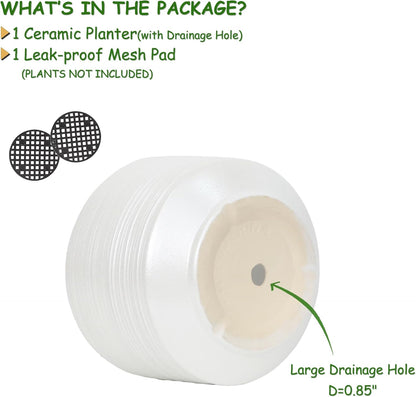 10 Inch Ceramic Plant Pot with Drainage – Large Flower Pot for Indoor Outdoor Plants, Modern Decorative Planter for Patio, Balcony, Garden, or Home Decor