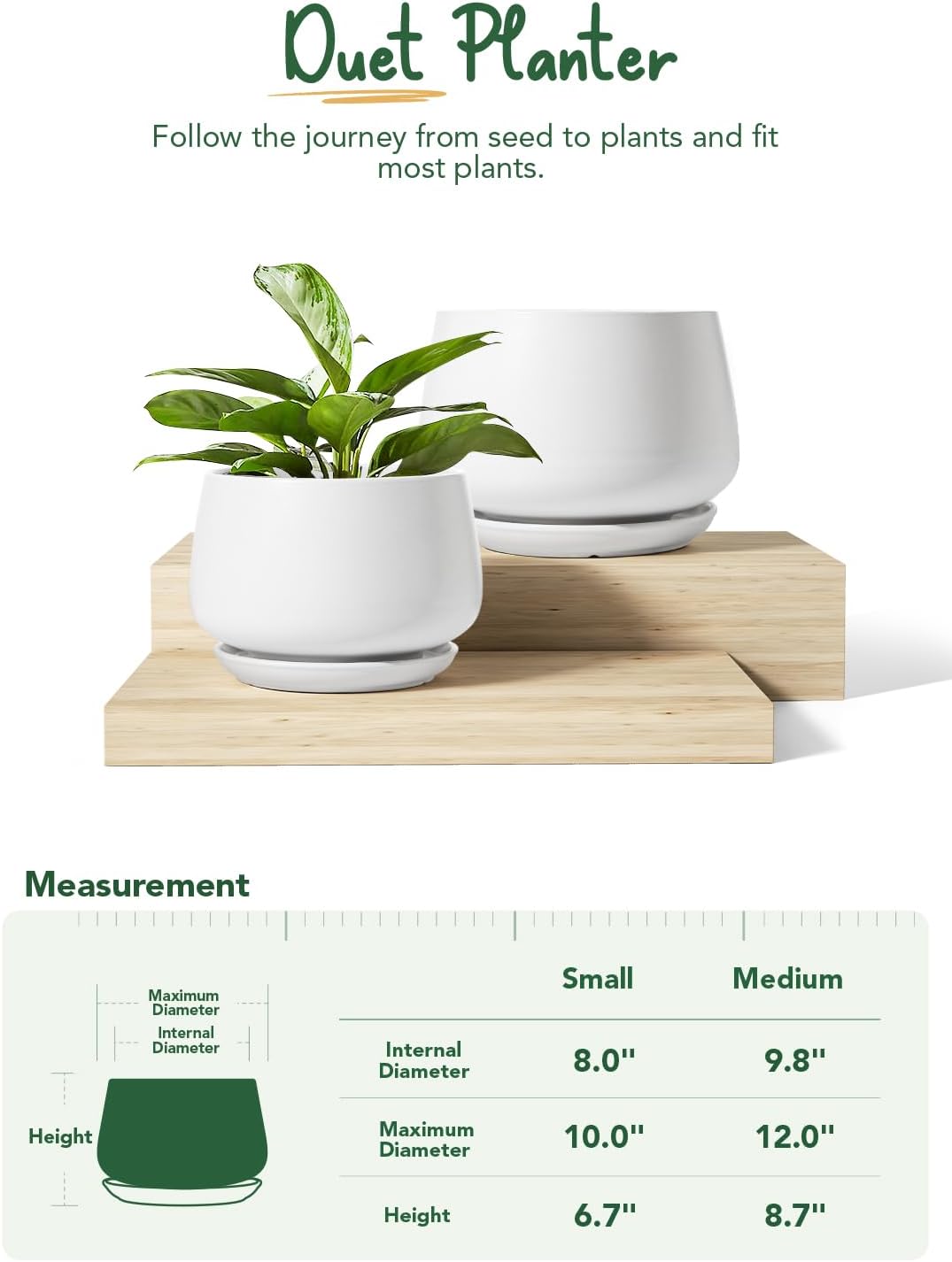 LE TAUCI Ceramic Plant Pots, Set of 2, 10 + 12 Inch Plant Pot, Elegant Planters for Indoor Plants, Sturdy Planter with Drainage Hole and Saucers, Perfect for Home Decor, White