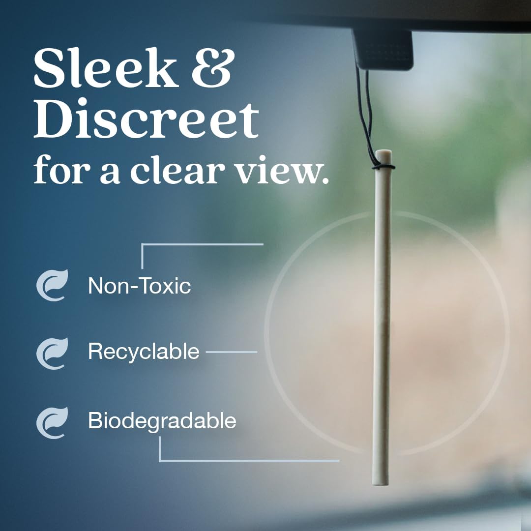 Enviroscent Non-Toxic Car Air Freshener (Coastal Storm & Teakwood) Natural Car Air Freshener | Essential Oil Diffuser | Car Scent Lasting Over 180 Days | 3 Packs of 2 Hanging Auto Stix