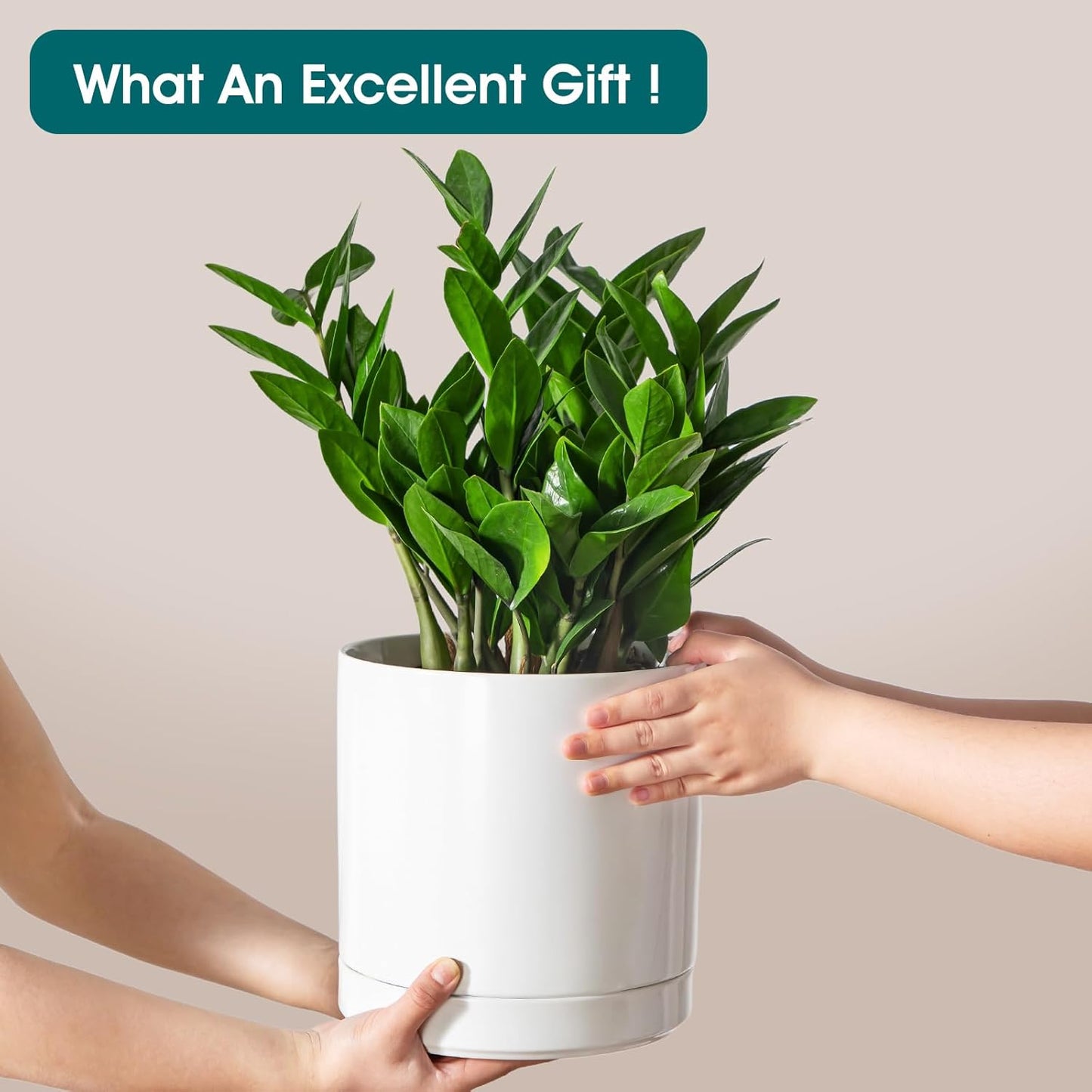 vancasso Ceramic Plant Pots, 8.25 Inch Ceramic Pot for Plants, Planters Pots for Indoor Plants with Drainage Holes, Flower Pot for Indoor House Plant, White