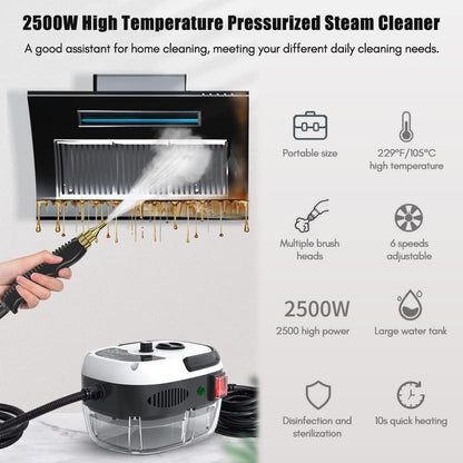 2500W Portable Handheld Steam Cleaner, High Temperature Pressurized Steam Cleaning Machine with Brush Heads for Kitchen Furniture Bathroom Car, US Plug 110V (Red)