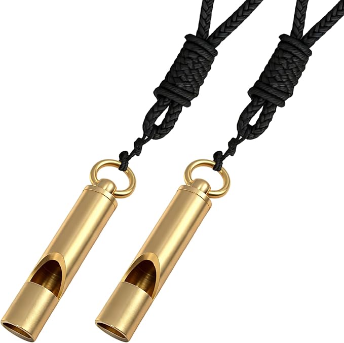 Titanium Emergency Whistle, 120DB Survival Safety Whistles with Black Lanyard, Outdoor Small Lifesaving Loud Whistle for Coaches Sports Boating Dog Training Hiking Camping