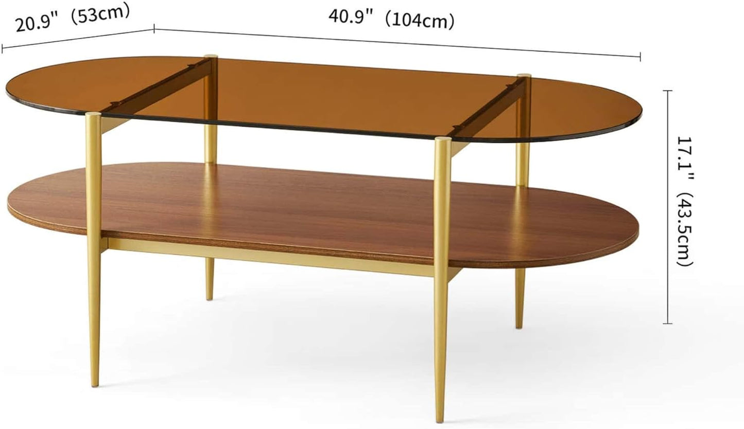 Oval Glass Coffee Table, Mid-Century Modern Design, L41 x W21 x H17 inch, for Living Room, 2-Tier Structure, Amber Glass Top and Walnut Finish Wood Shelf, Conical Legs with Gold Finish Frame