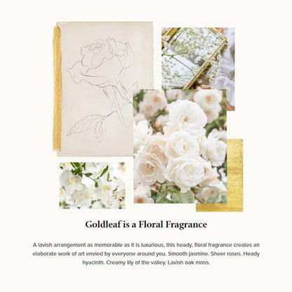 Thymes Reed Diffuser Oil - 7.75 Fl Oz – Goldleaf