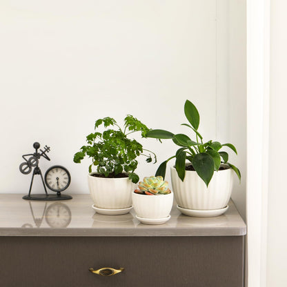 Ceramic Plant Pots with Drainage Holes and Saucers, Round White Flower Pots for Indoor Plant, Diameter 3.3/4.3/5.5 Inches Small Flower Planters Set of 3
