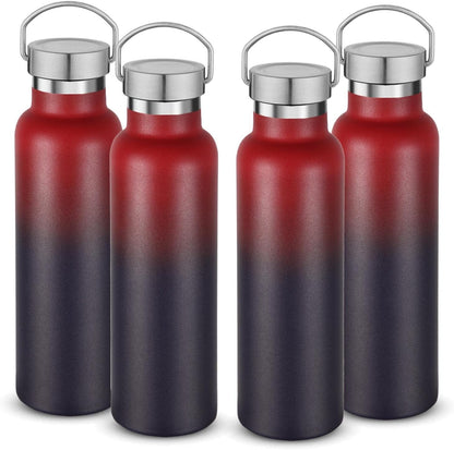 Neihepal 20 oz Insulated Water Bottles Bulk 4 Pack,Stainless Steel Double Wall Sport Bottle with Lid of Handle,Metal Reusable Thermoses Flask for School,Cyclists,Hikers,Gift (Dark Rainbow,Set of 4)