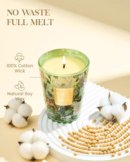 M&SENSE Eucalyptus Sage Scented Candle, 14.1oz 60H Burn Time Slow Burning, Natural Soy Candles Aromatherapy Relaxing Sleep, Home Fragrance Housewarming Gifts