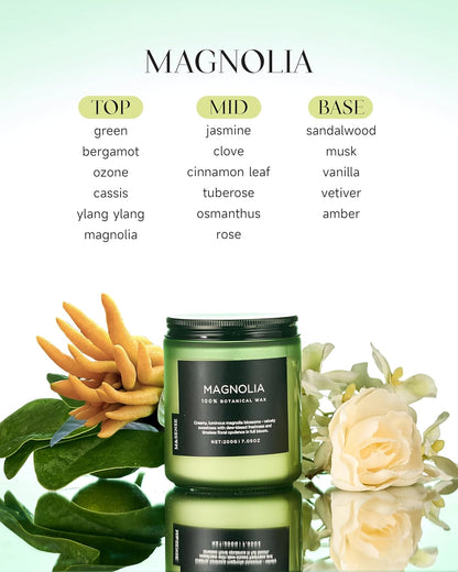M&SENSE Magnolia Jasmine Scented Candle, 7.05oz 50 Hours Long Lasting Clean Non Toxic All Natural Soy Wax Candle for Relaxing & Stress Relief, 2 Wick Spring Fragrance Gifts for Home Decor