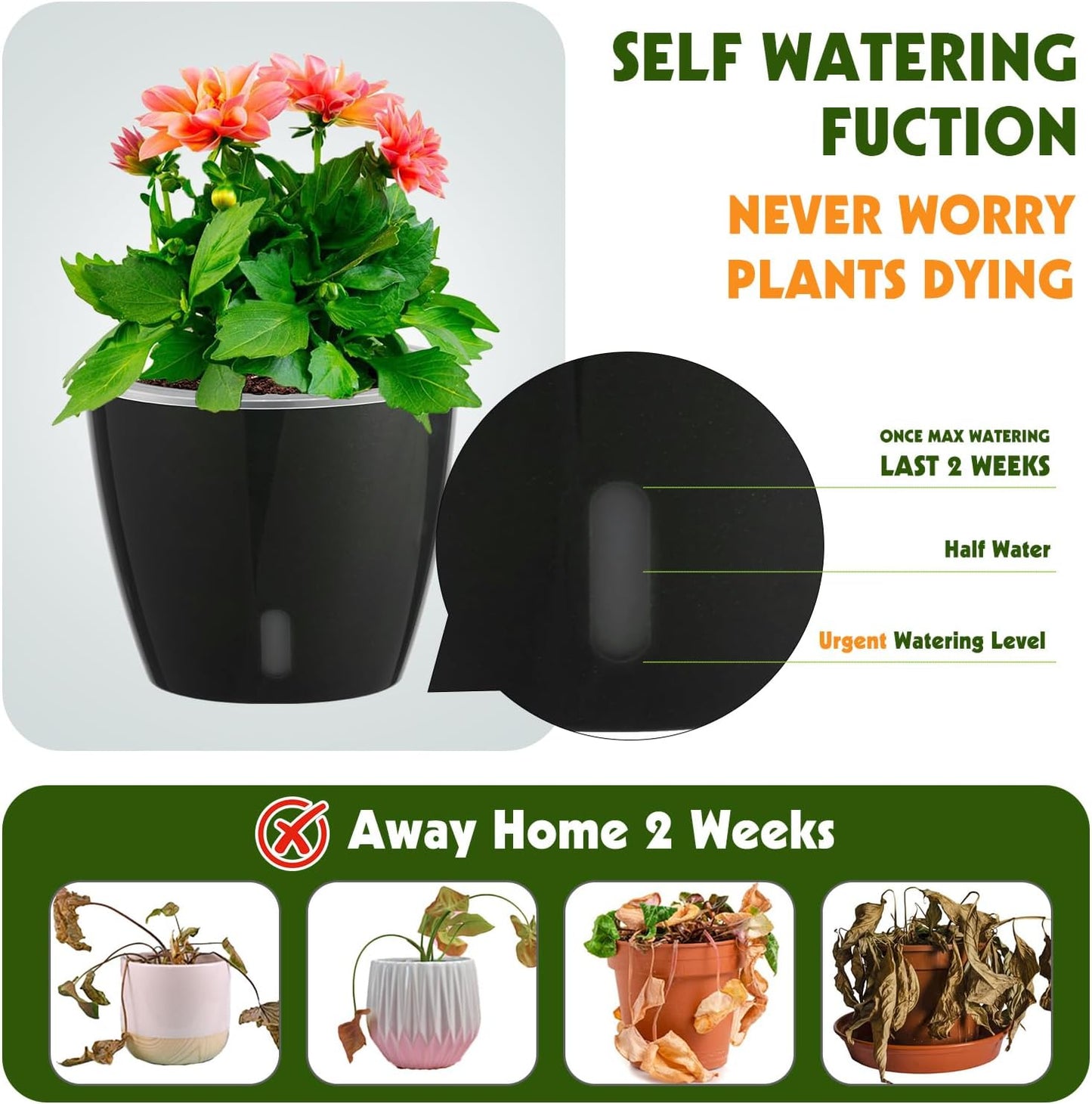 Self Watering Pots for Indoor Plants, 6-Pack 5'' Self Watering Planter with Drainage Holes, Small African Violet Pots with Water Indicator, Clear Wick Orchid Pot, Black