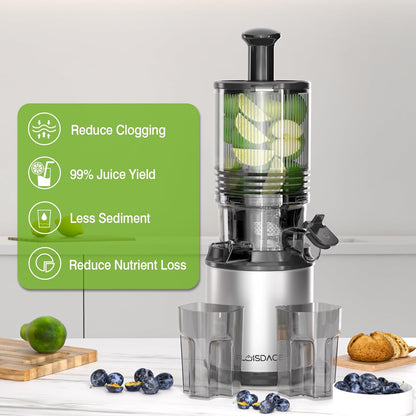 Cold Press Juicer – 6.5" Extra Large Feed Chute Fit Hands-Free Electric Masticating Juicer Machine, 350W Slow Masticating Juicer Machine for Whole Fruit and Vegetables – Easy Cleanup & Assembly