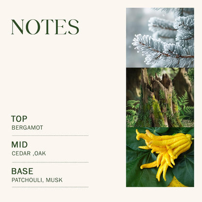 Cedar Oak Large Scented Candle, 3-Wick 22oz Long Lasting Scented Candle, Natural Soy Wax Aromatherapy Candle for Home, Autumn Candle Gifts for Women Men