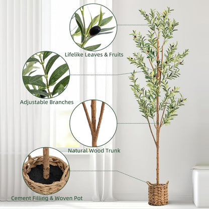 6ft Artificial Olive Tree with LED Fairy Lights, Tall Faux Potted Plant with Woven Basket - Natural Wooden Trunk & Lifelike Leaves & Fruits for Indoor Home Office Foyer Decor Housewarming Gift