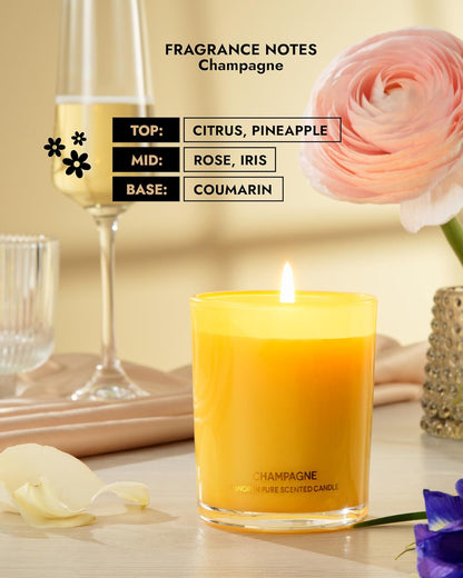 96NORTH | Pure Champagne Candle | 100% Natural Soy Wax | One Wick Jar Candle | Natural Fragrance Technology | Non Toxic | Up to 35 Hours Burning Time | Aromatherapy Gift for Men and Women