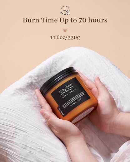 M&SENSE Golden Eucalyptus & Sage Scented Candle, 11.6oz Natural Soy Wax 70 Hours Long Lasting Highly Scented 2 Cotton Wick Candle Gifts for Birthday Holiday, Decorative & Home