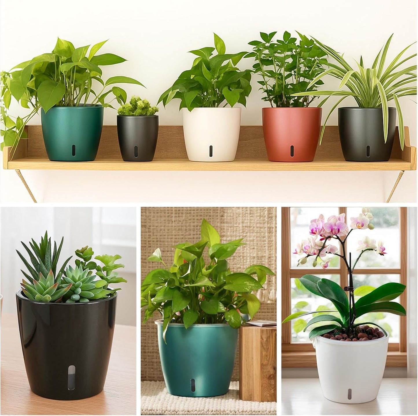 Self Watering Pots for Indoor Plants, 6-Pack 5'' Self Watering Planter with Drainage Holes, Small African Violet Pots with Water Indicator, Clear Wick Orchid Pot, Black