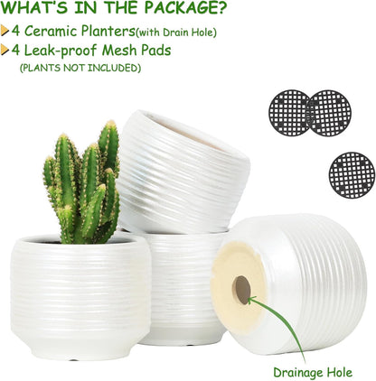 Mini Succulent Planter Set – 3.7 Inch Ceramic Pots with Drainage for Indoor Plants, Small Decorative Flower Pots for Cactus and House Plants, Set of 4