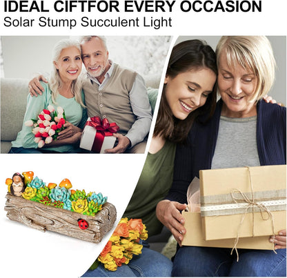 Garden Solar Figurine Light - Stump Succulent Solar Light Outdoor, Solar Powered Lighting Outside Decorations Yard Art Lawn Ornaments for Porch Patio Balcony - Succulent Gifts for Women Mom