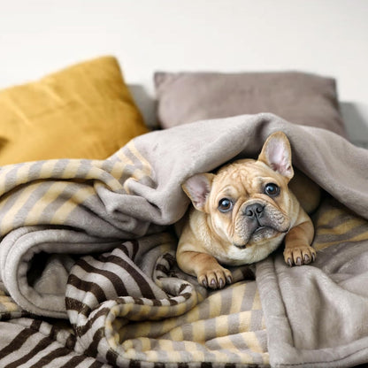 Lahome Brown Fleece Throw Blanket for Couch Double-Color Rainbow Fluffy Warm Cozy Bed Blanket Soft Fuzzy Modern Throw Blankets for Sofa Home Decor, Brown 50''x60''