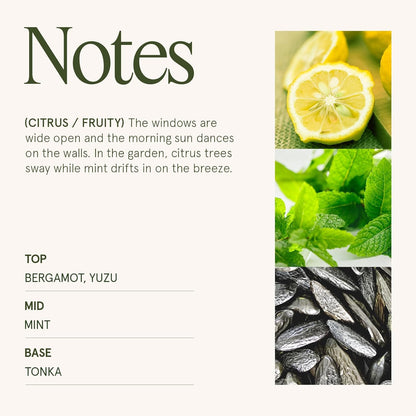 LA JOLIE MUSE Citrus Mint Candle – Yuzu, Mint & Tonka | 6 oz Natural Soy Wax | 40 Hours Clean Burn | Gift-Ready for Hosts | Fresh Citrus Candle | Elegant Home Décor