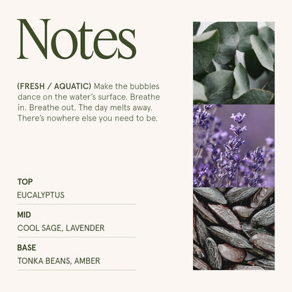 LA JOLIE MUSE Eucalyptus & Alpine Sage Candle – Eucalyptus, Sage & Lavender | 19 oz Wooden Wick | Natural Soy Wax | 90 Hours Burn | Candle for Relaxation