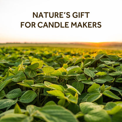 NORVENCE Soy Wax for Candle Making, Natural Soy Wax Flakes 2lb, Premium Candle Wax for DIY Candle Crafting