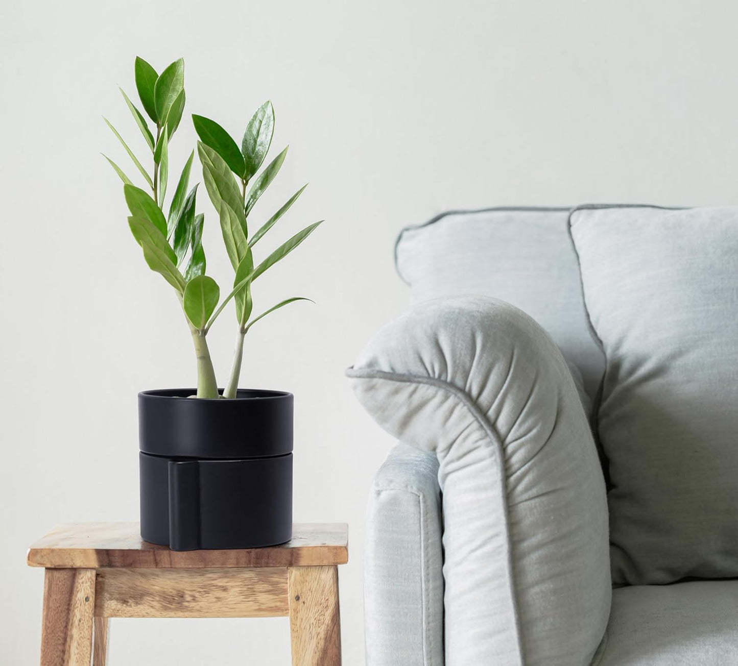 Phoenix Vine 8 Inch Self-Watering Planter Pot with Terracotta Insert, Deep Water Reservoir, and Ceramic-Alike BPA-Free Plastic Planter Pot for Plant, Modern Planter for Houseplants, Black, 53-A-T-2