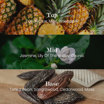 M&SENSE Natural Soy Candle| Eucalyptus Spearmint | 16.6 oz, 95H Burn | Minimalist Scented Candle for Relaxation, Gifting, Home Décor | for Bedroom, Office, Party Large